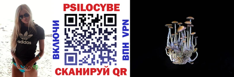 купить  сайты  omg как зайти  Псилоцибиновые грибы Cubensis  Нягань 